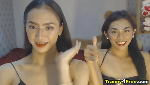 Busty shemale fucks her stepbrother's big white dick